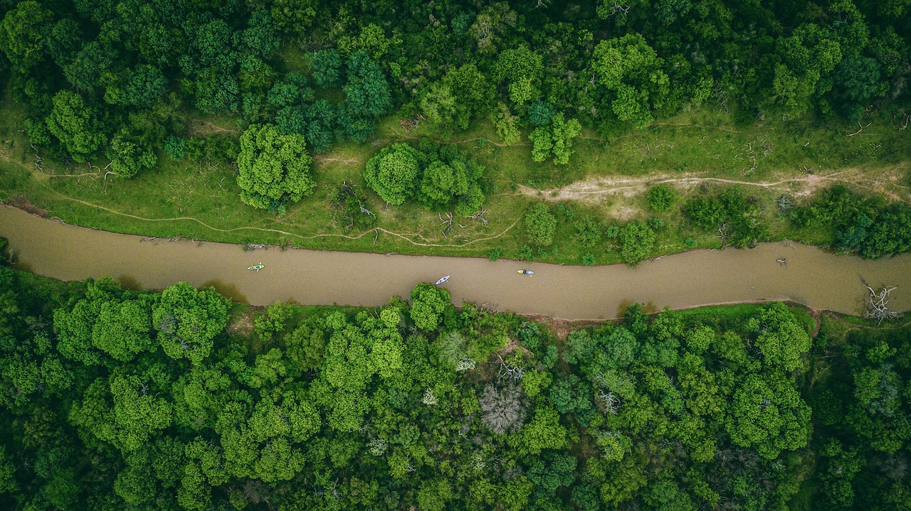 Into the Wild: Discovering Argentina’s El Impenetrable National Park