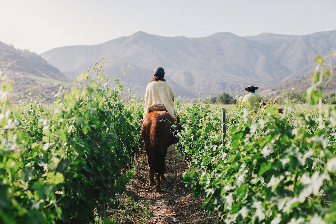 The Wine Lover's Guide to Chile's Wine Valleys