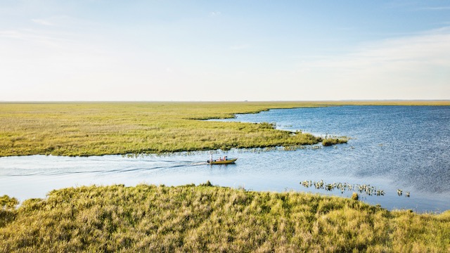 Iberá National Park