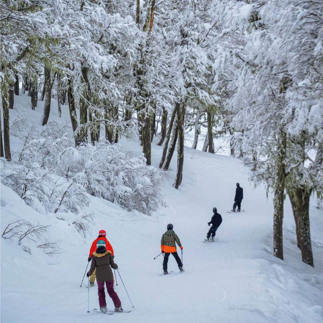 Where to Ski: Argentina