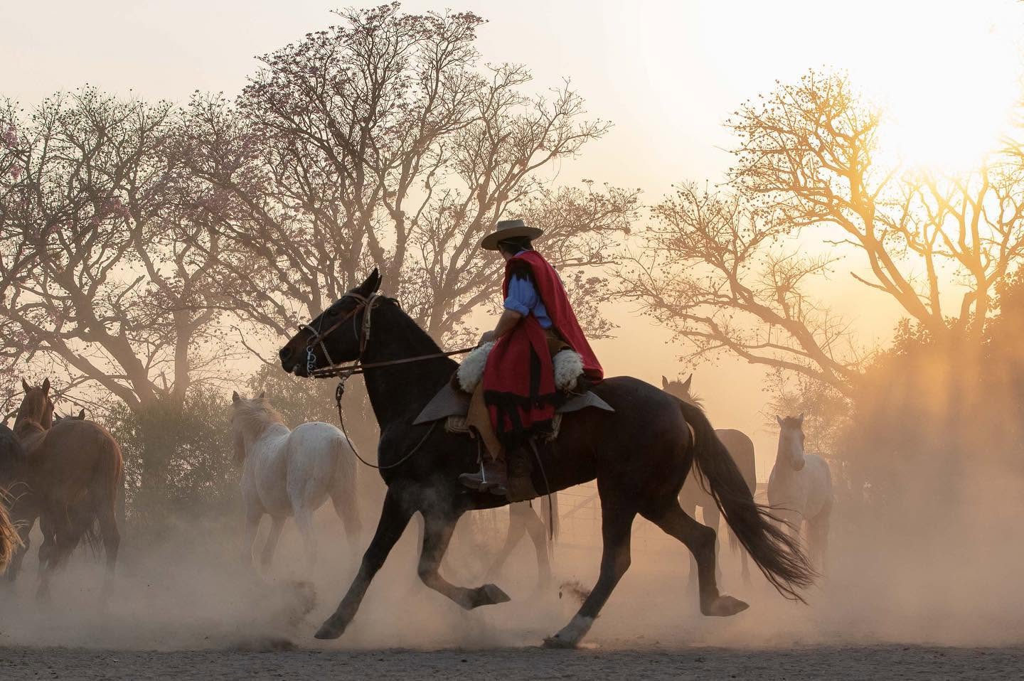 Estancia El Bordo de Las Lanzas