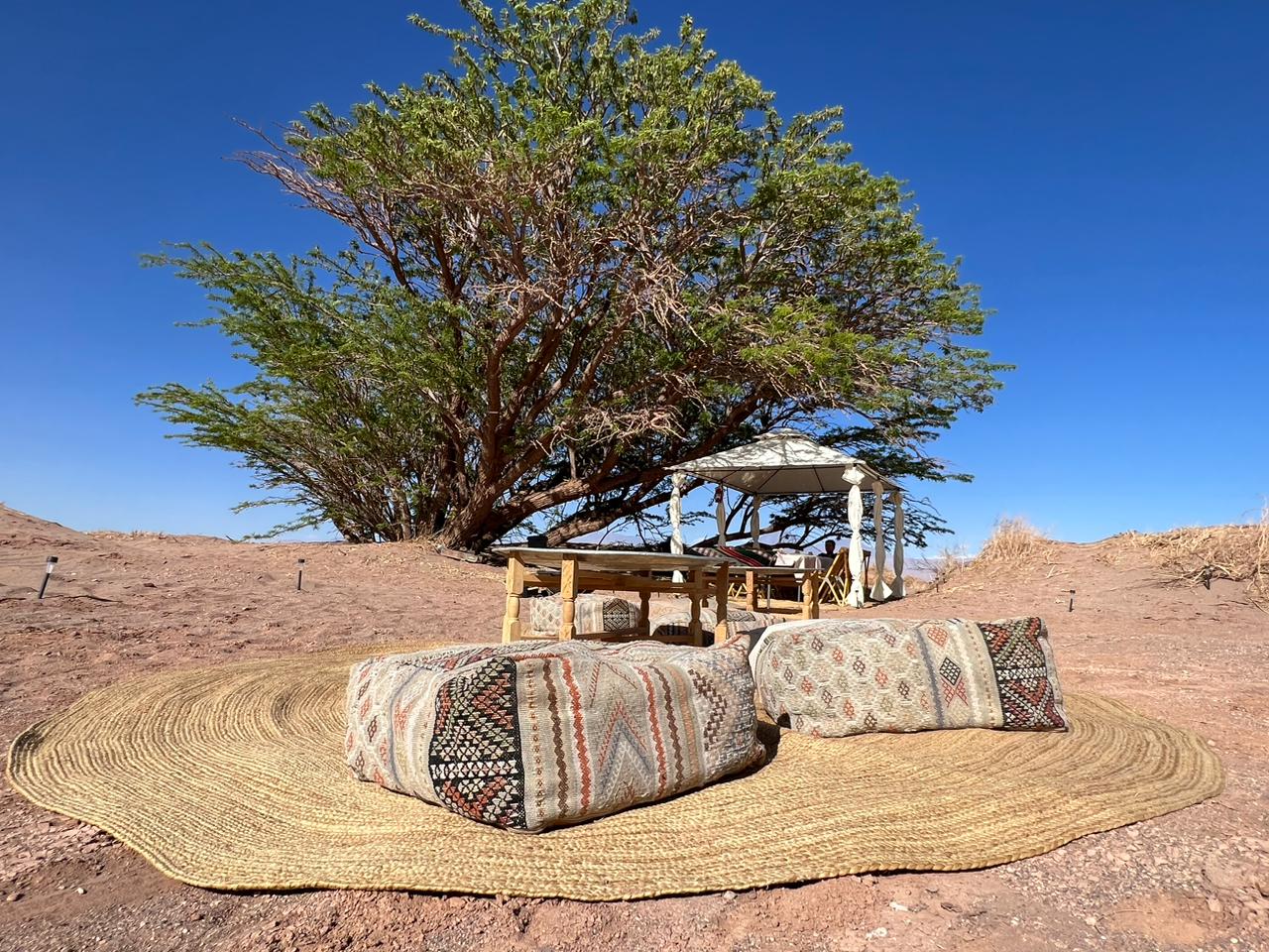 Dinner under the Stars, Atacama Desert