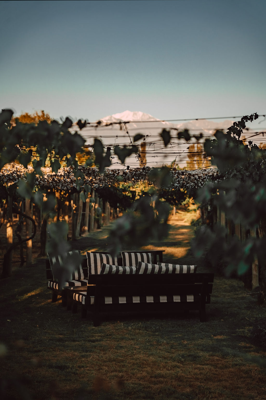 If You Want to Eat Well