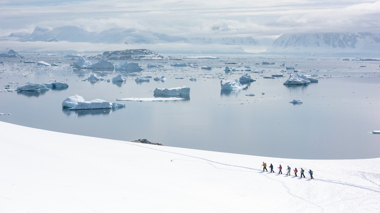 Which Antarctic Itinerary is For Me? 