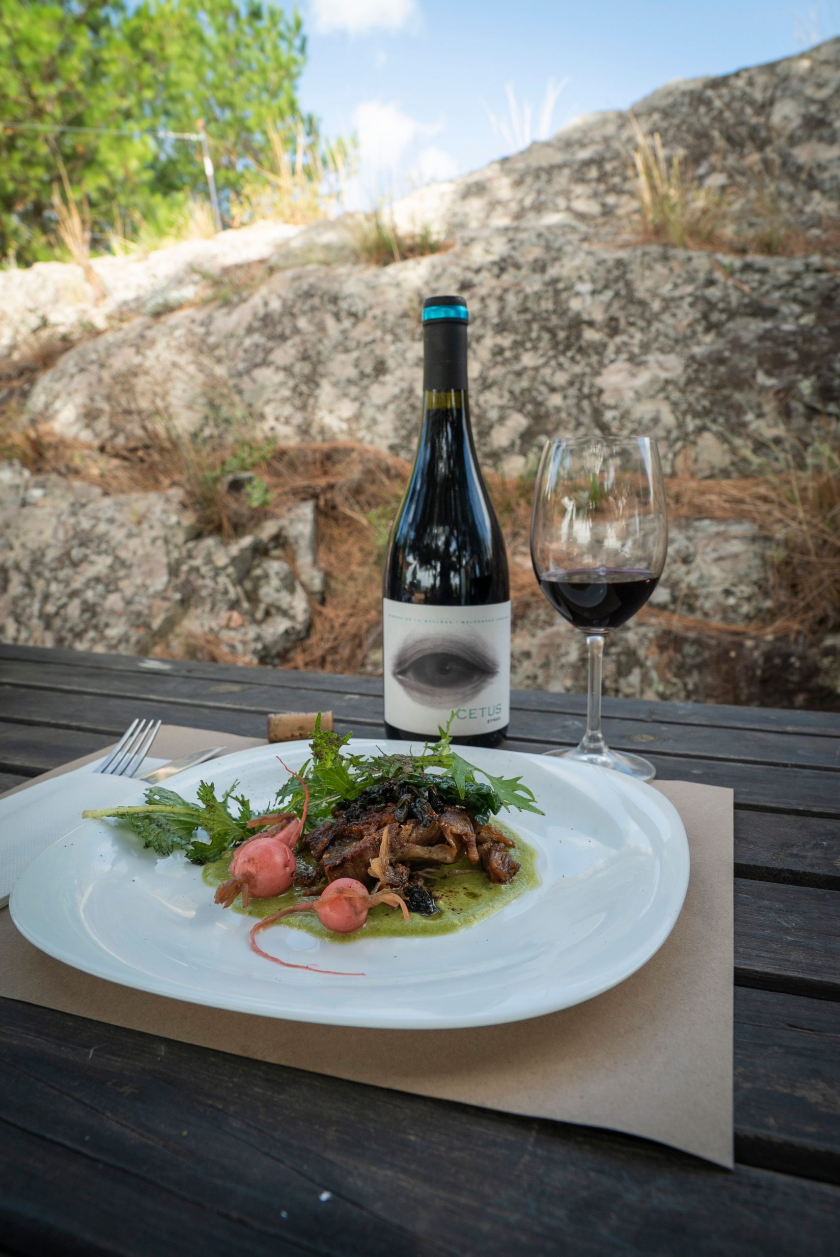 Bodega Altos de la Ballena