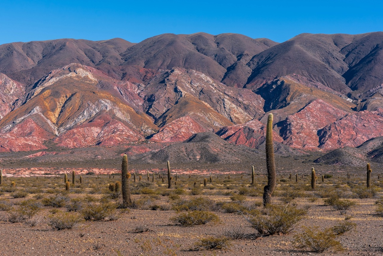 Los Cardones National Park