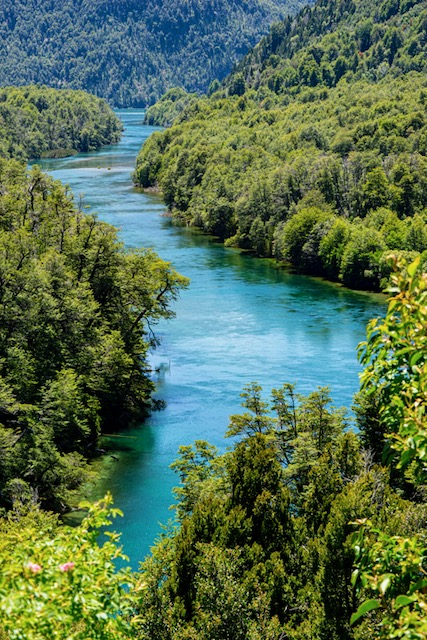 Los Alerces National Park