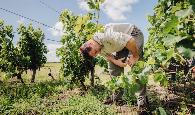 Los Nadies Urban Winery