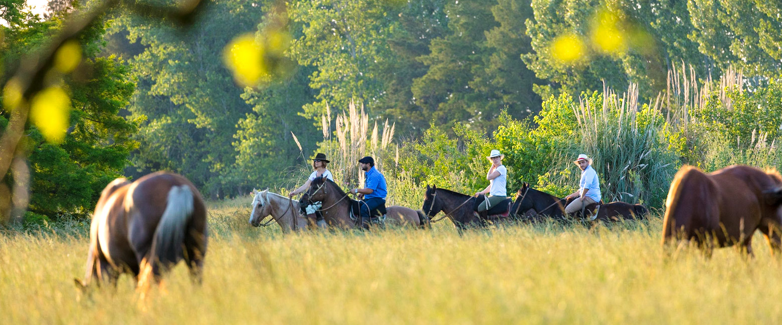 Estancia La Bandada