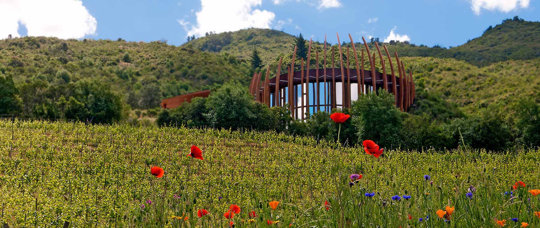 9. Colchagua Valley, Chile