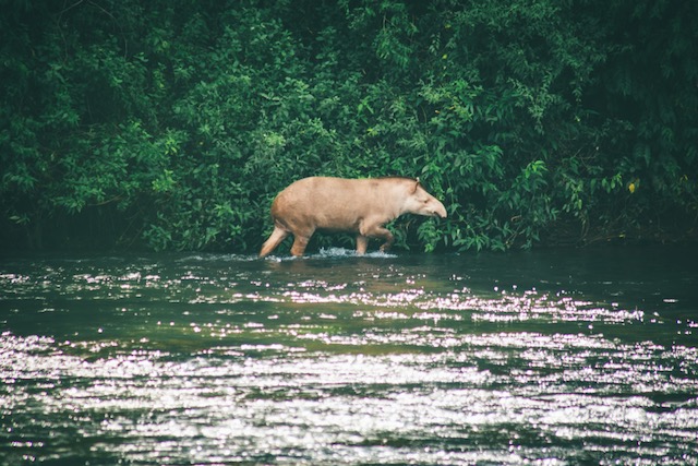 Biodiversity & Wildlife