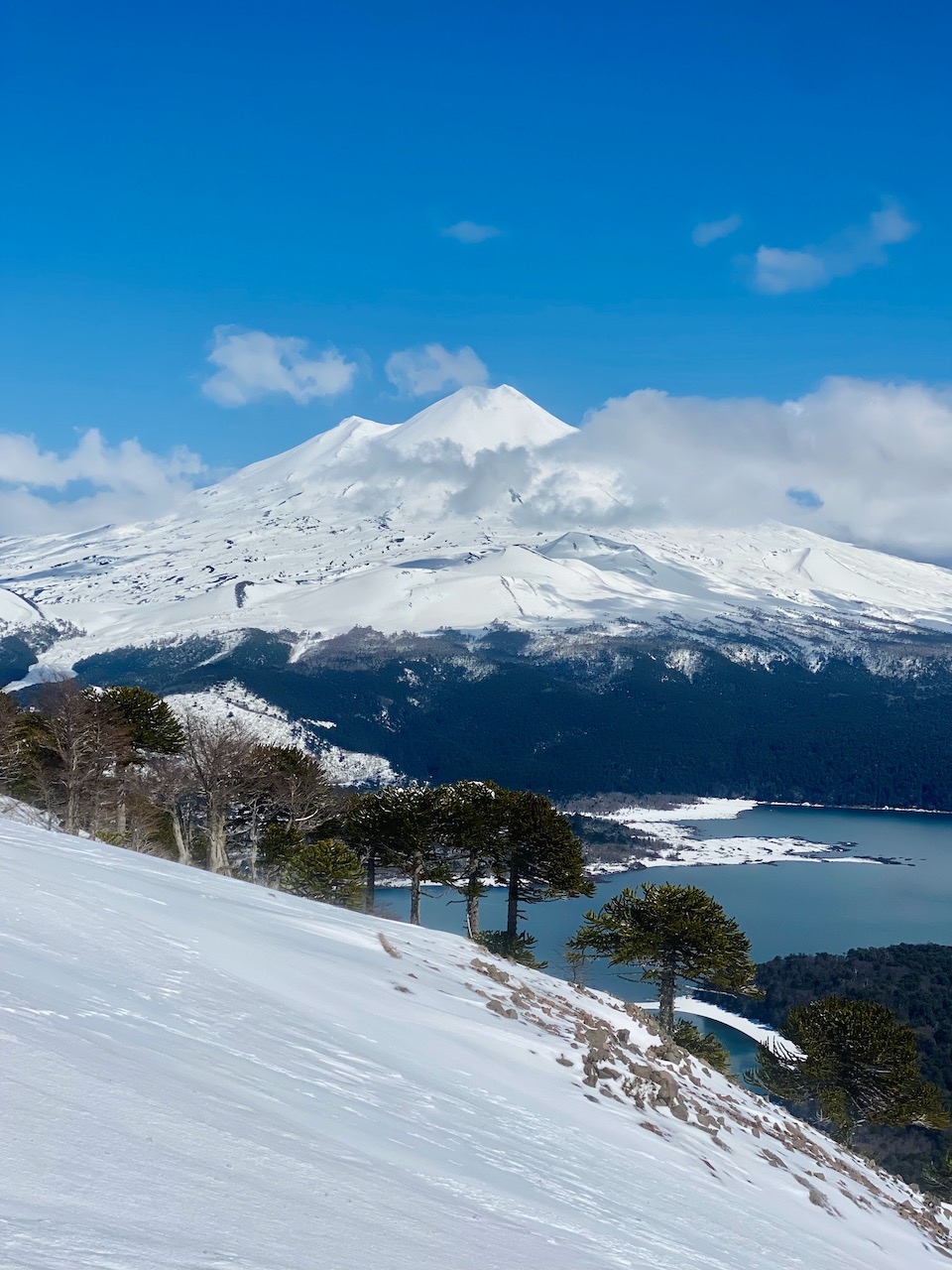 Conguillío National Park