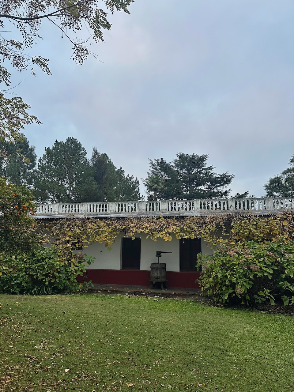 A Taste of the Uruguayan Countryside