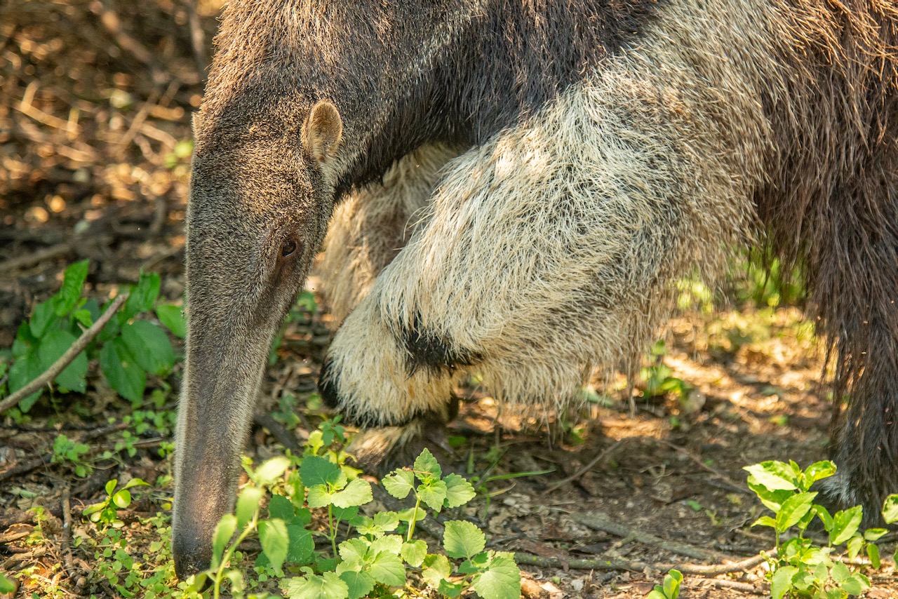 An Oasis of Biodiversity