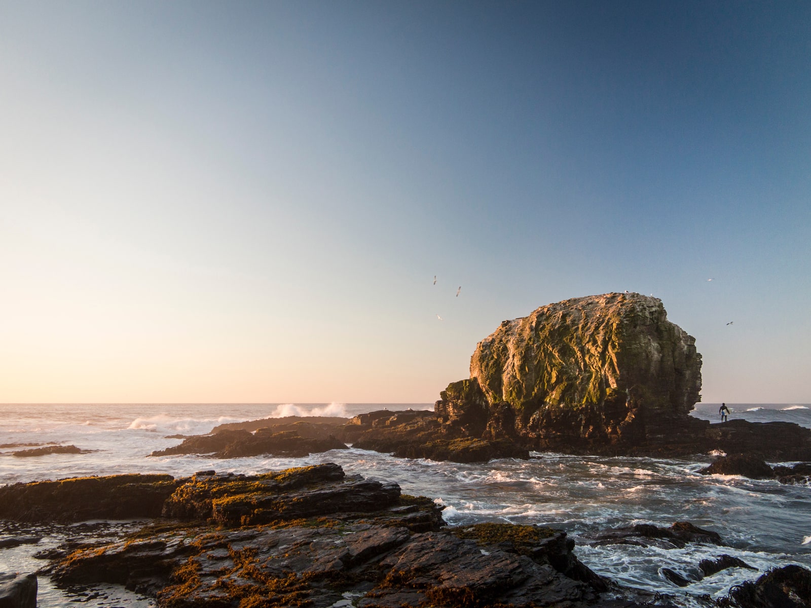 Giving Back: Fundación Parque Punta de Lobos