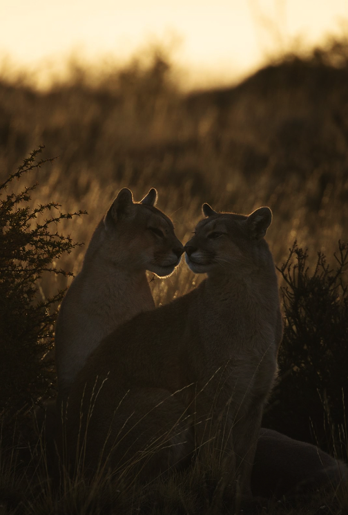 7. Torres del Paine National Park, Chilean Patagonia