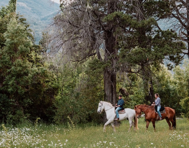 Turn inspiration into reality