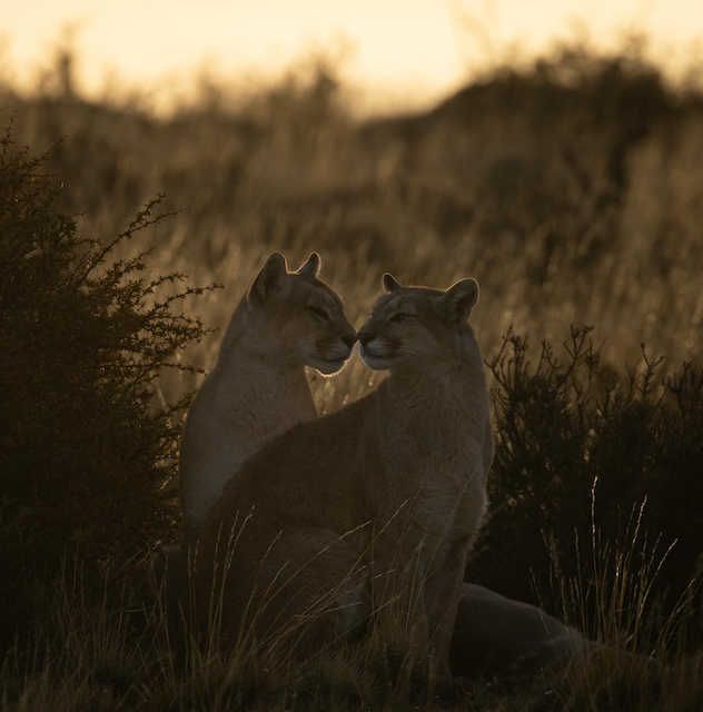 8. What do you hope travellers take away from time in the field with you?