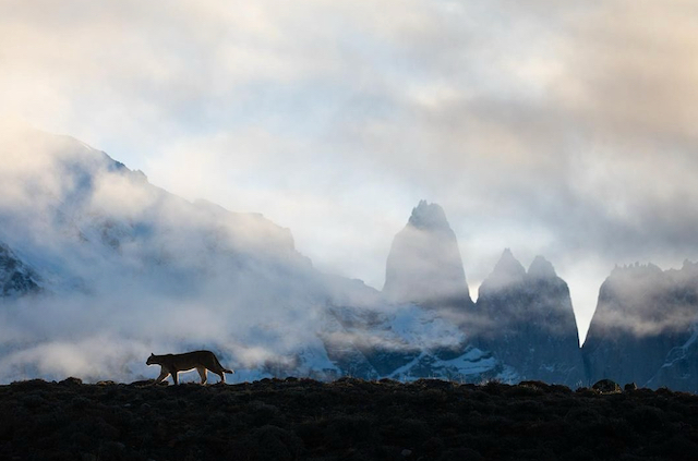 3. At what point did photography become part of your work?