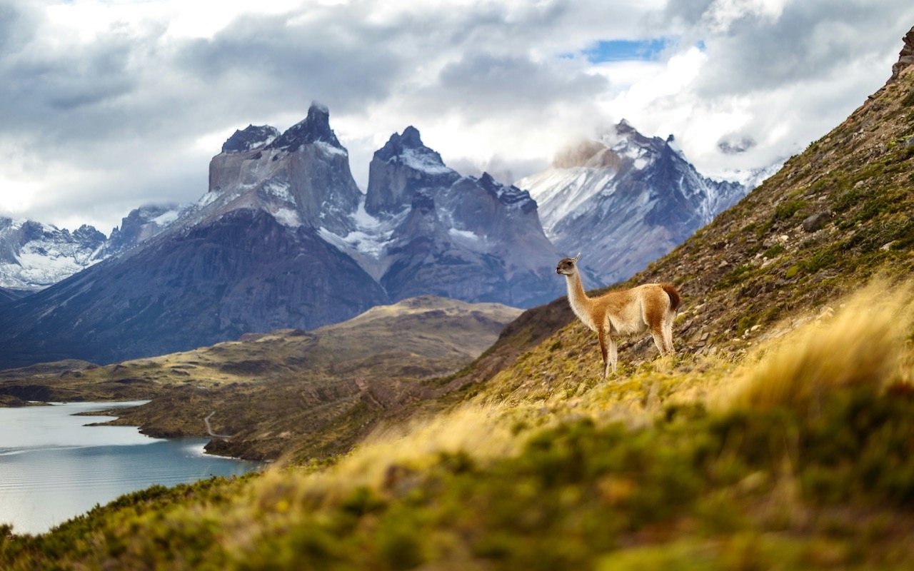 Torres del Paine National Park