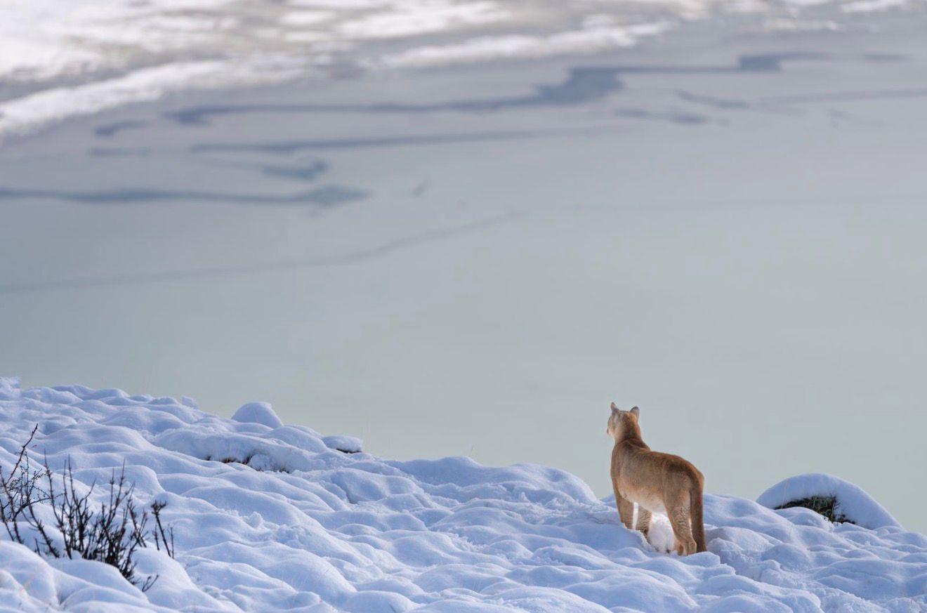 8. What do you hope travellers take away from time in the field with you?